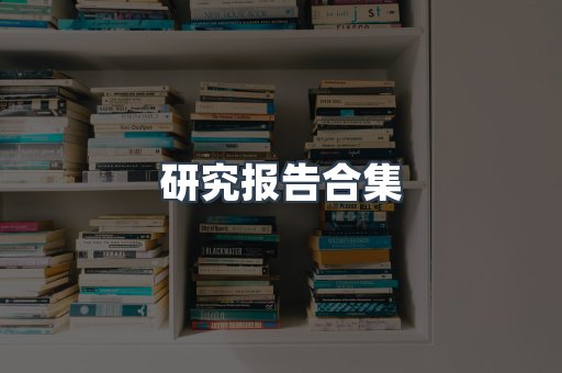 研究报告合集